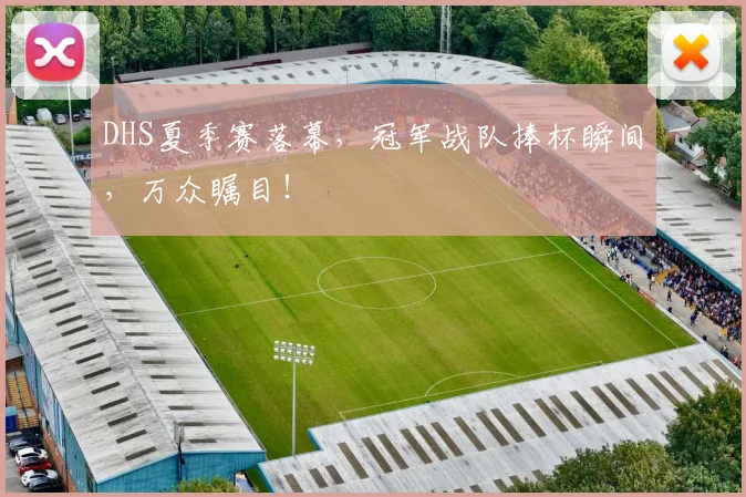 DHS夏季赛落幕，冠军战队捧杯瞬间，万众瞩目！