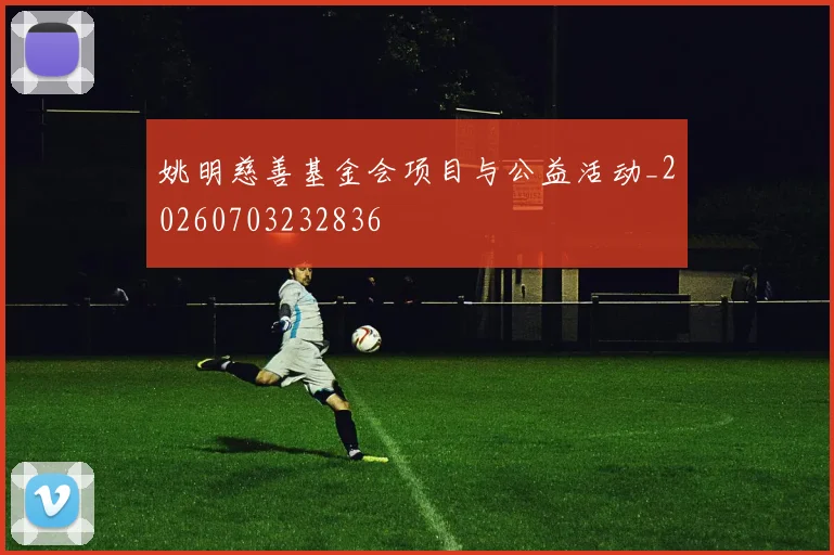 姚明慈善基金会项目与公益活动_20260703232836