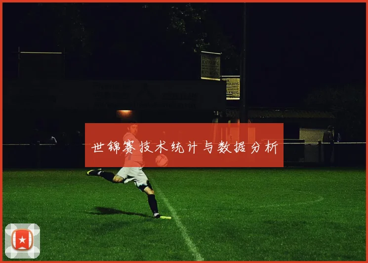 世锦赛技术统计与数据分析