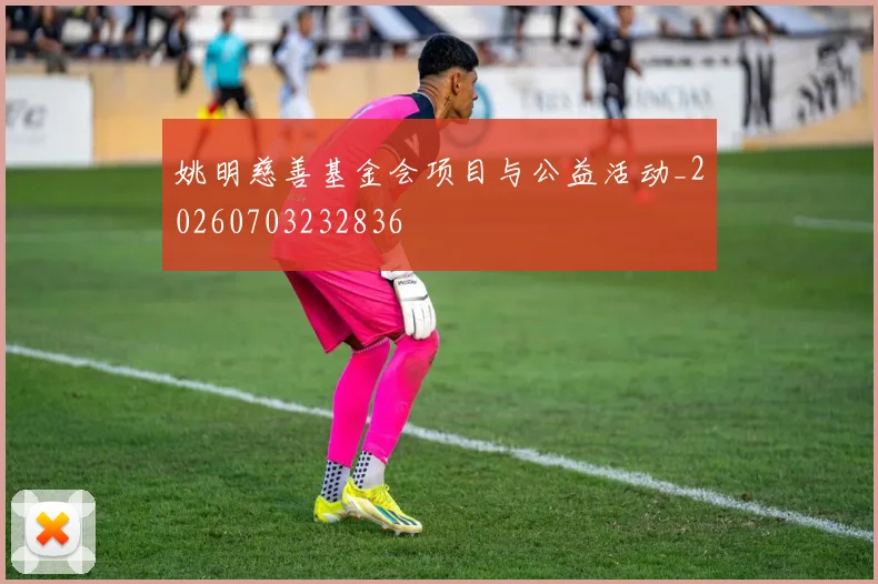 姚明慈善基金会项目与公益活动_20260703232836